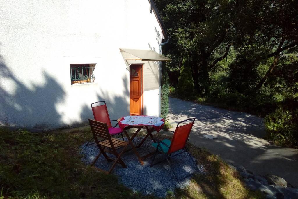 Apartment Duplex At The Foothills Of The Pyrenees *